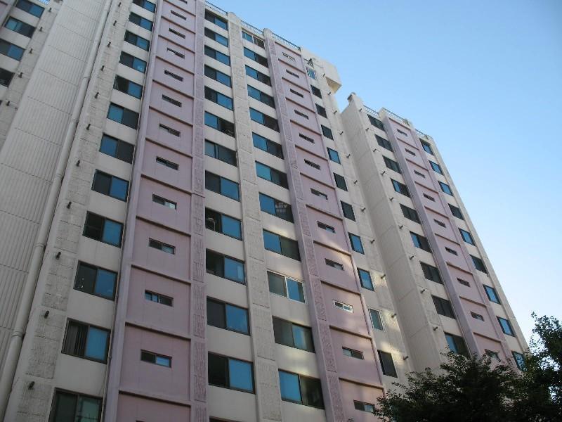 사진 550