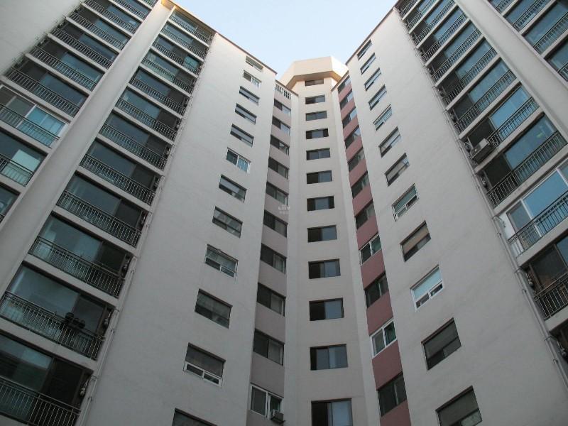 사진 607