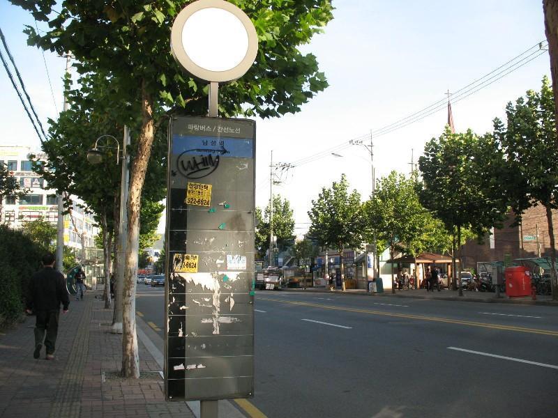 사진 539