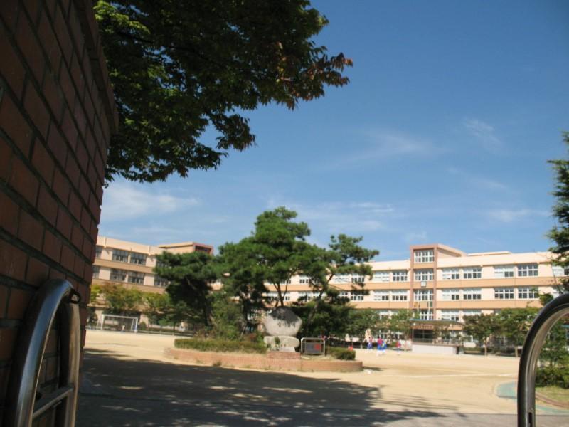 사진 129