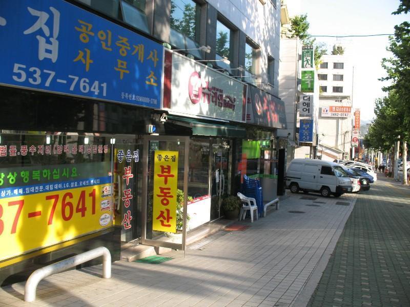 사진 498