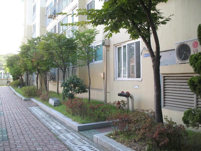 사진 502