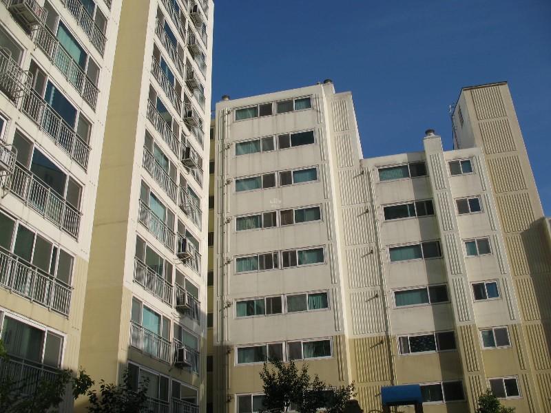 사진 508