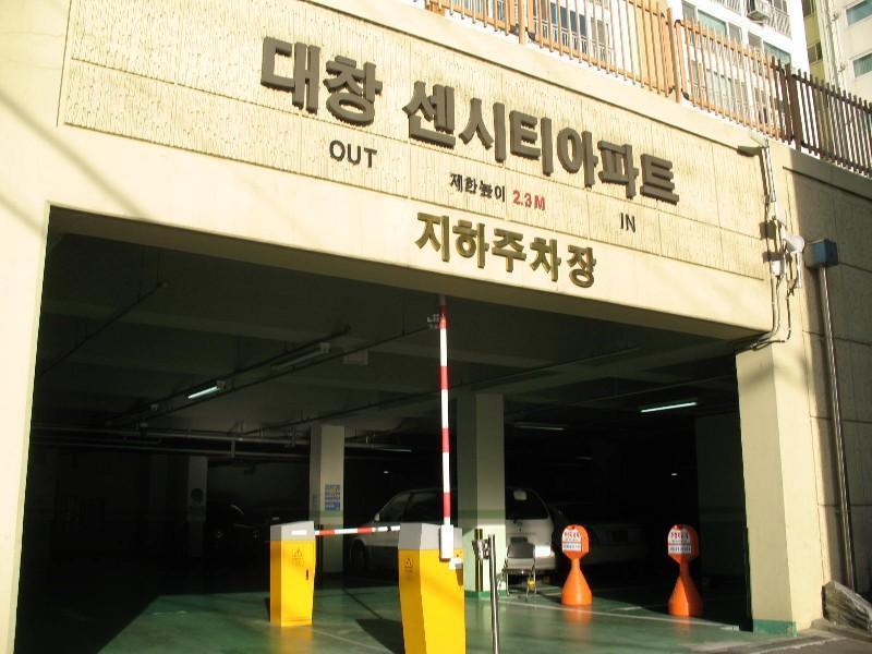 사진 499
