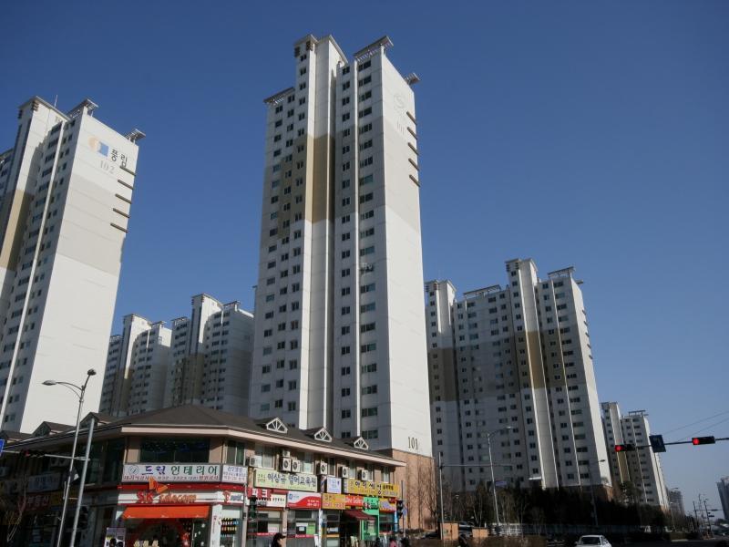 101동