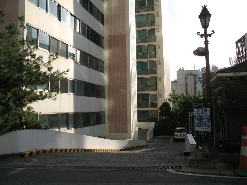 사진 518