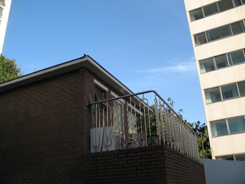 사진 521