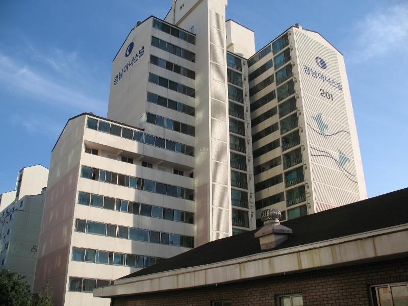 사진 515
