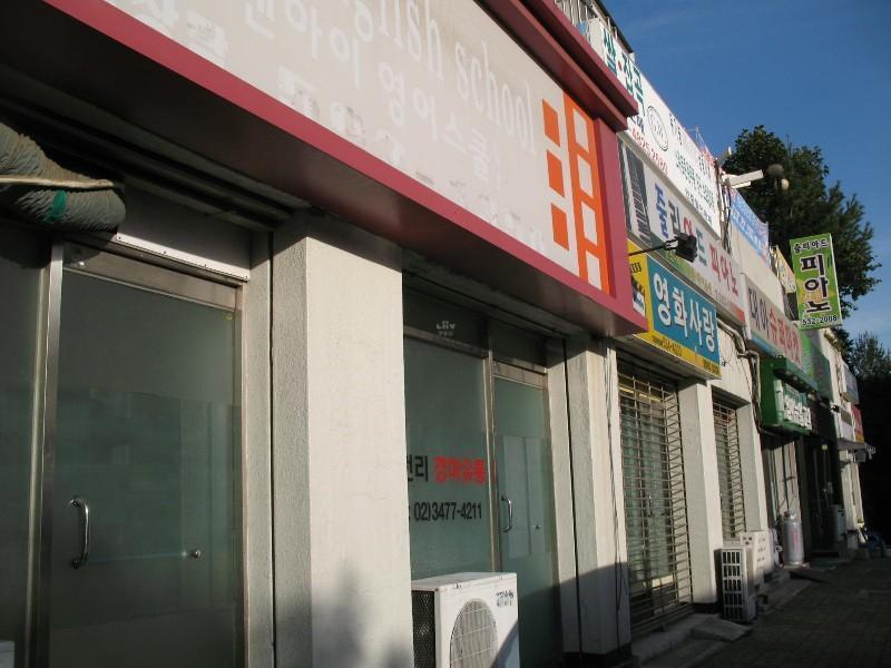 사진 517