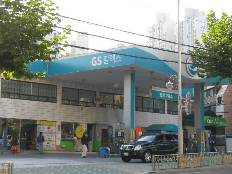 사진 514