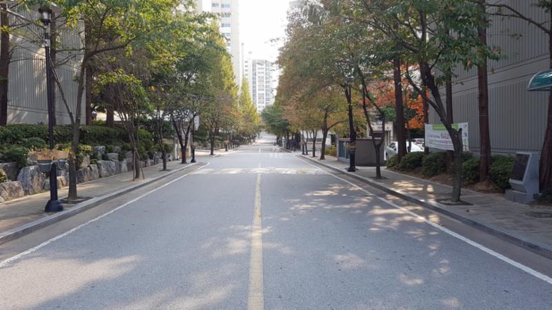 단지 내 도로 중심으로 가로수가 심겨 있어 운치 있는 단지 내 조경이 마련되어 있고요