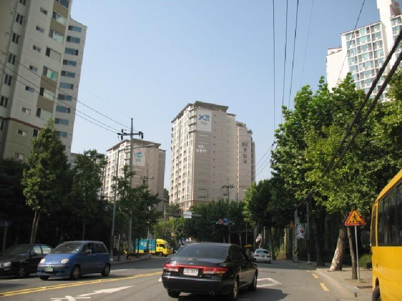 사진 397