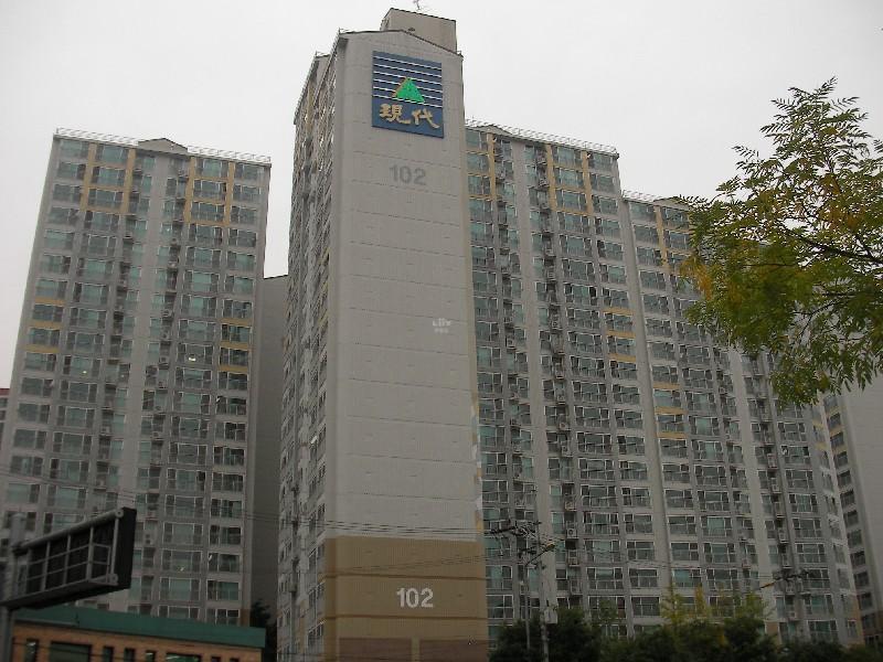 SANY0464