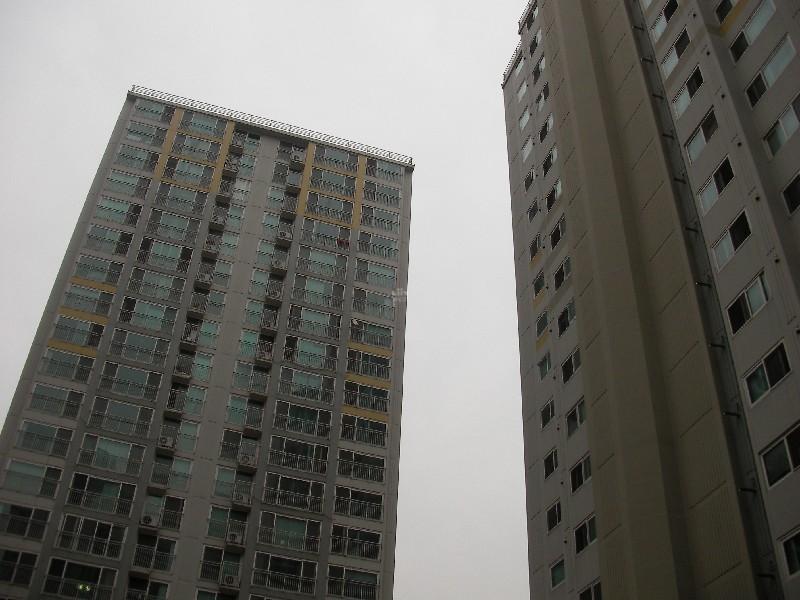 SANY0478