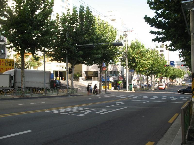 사진 481