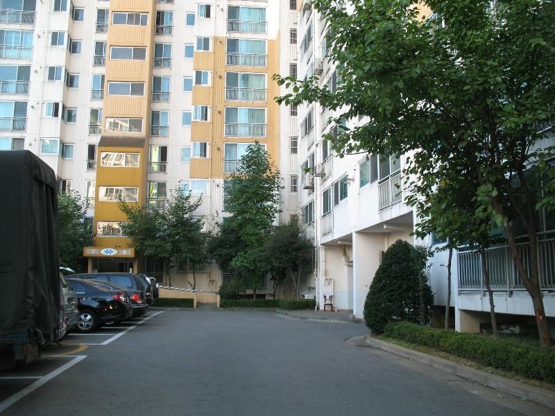 사진 451