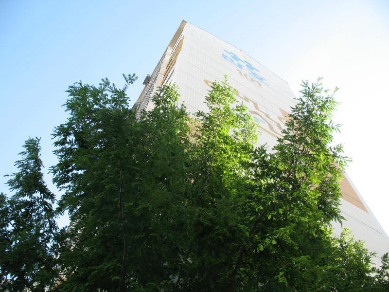 사진 459