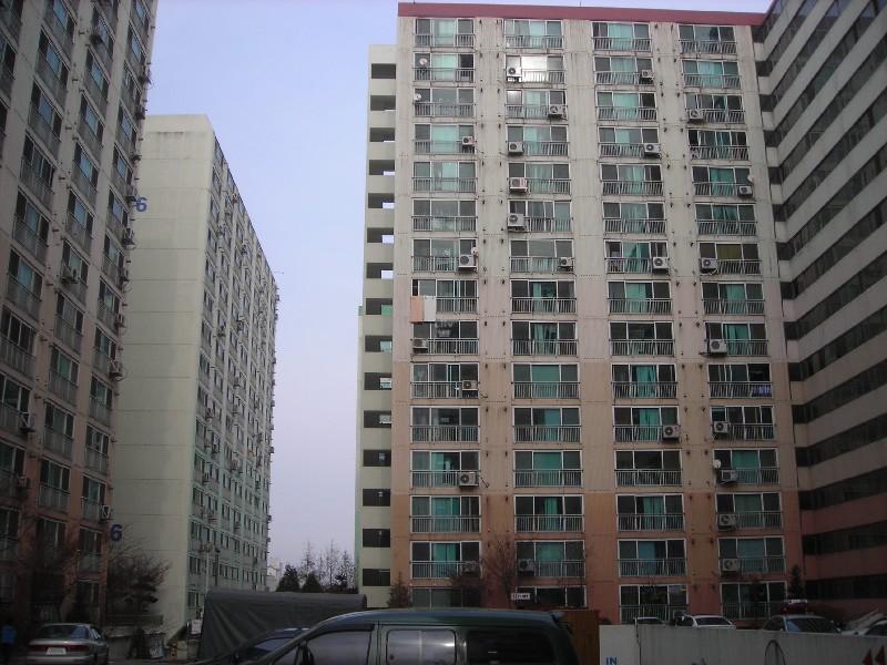 DSCN5941