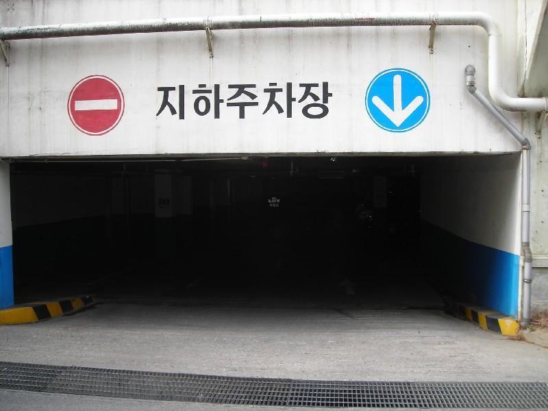 DSCN5933