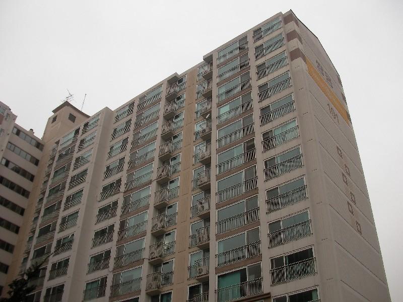 SANY0431
