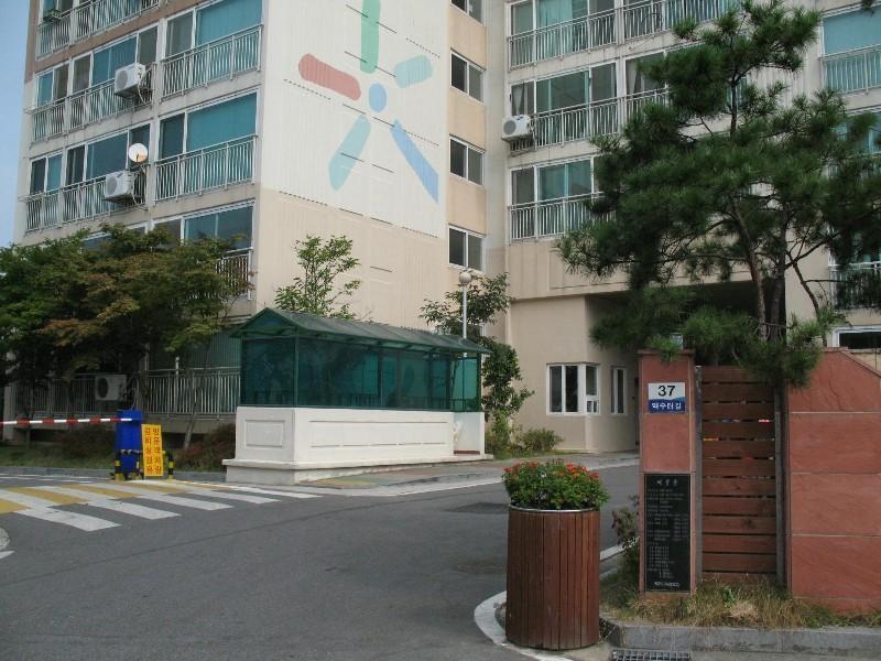 사진 151