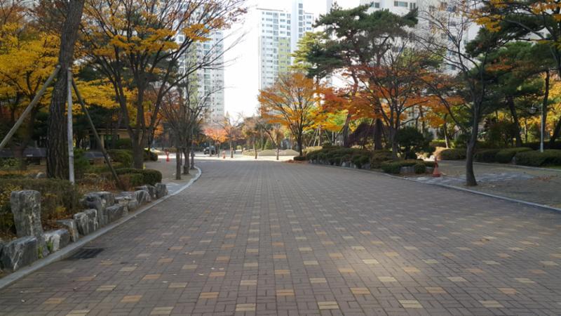 차선 없는 단지내 도로 입니다
