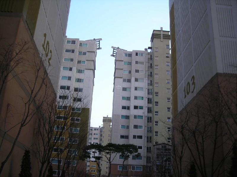 DSCN4435