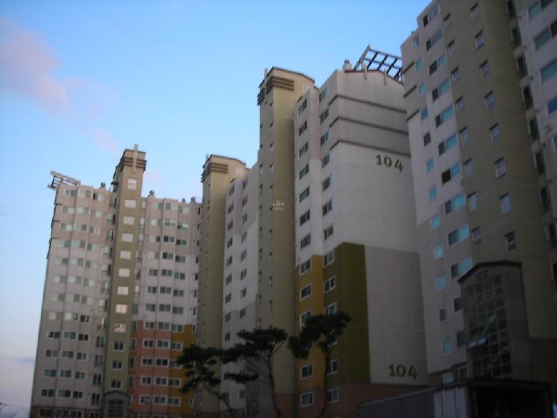 DSCN4439