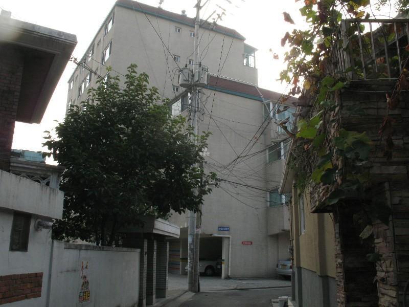 사진 036