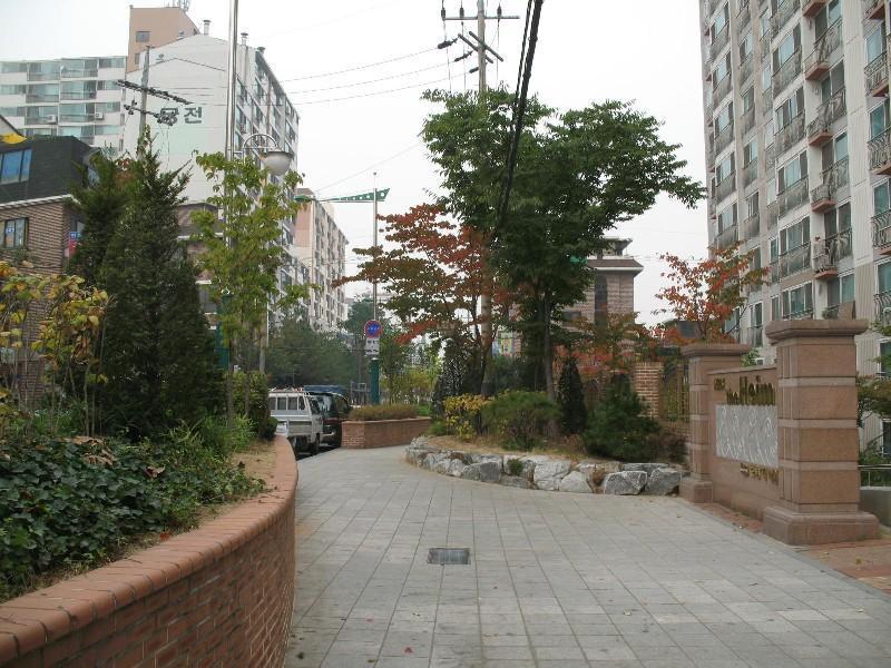 사진 165