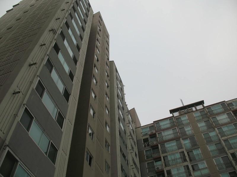 사진 171