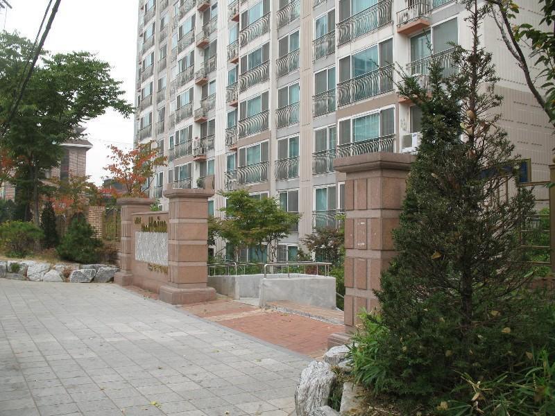 사진 164
