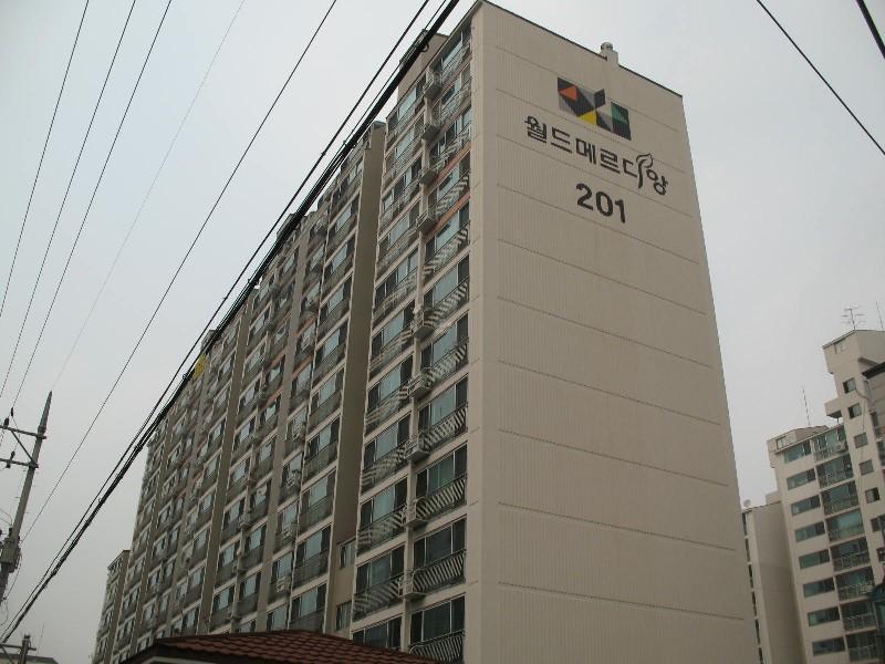 사진 482