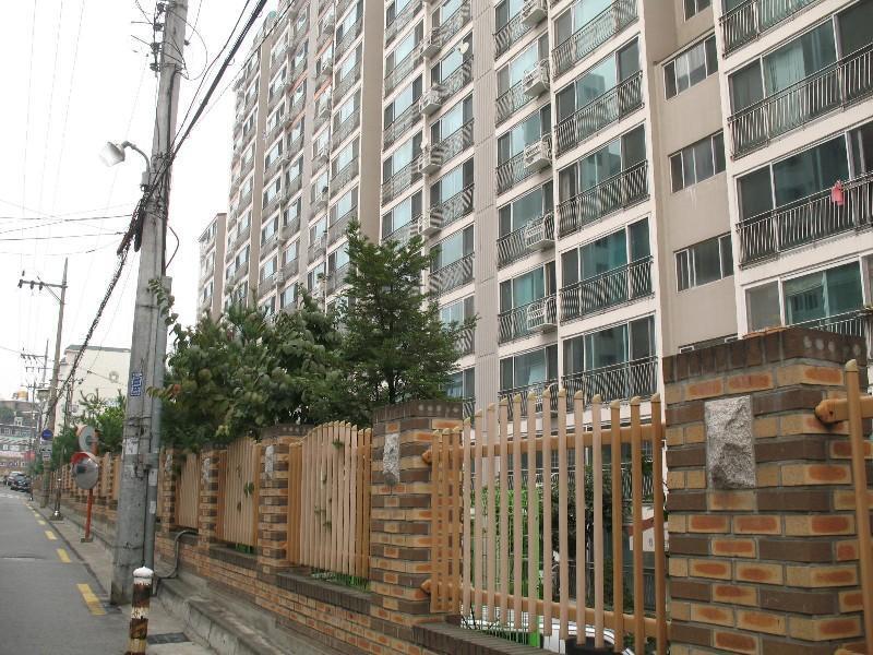 사진 484