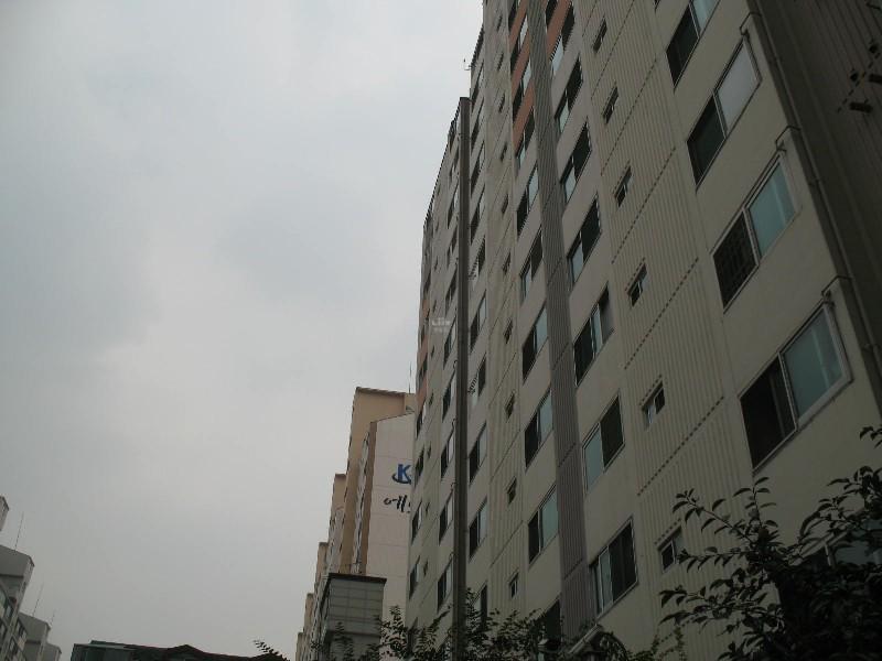 사진 491