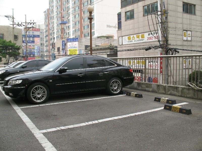 사진 492