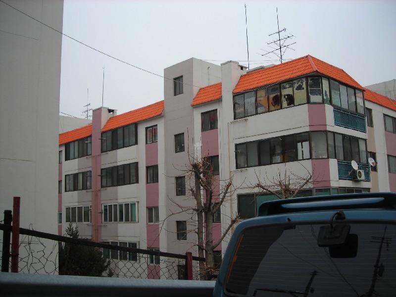 DSCN6048