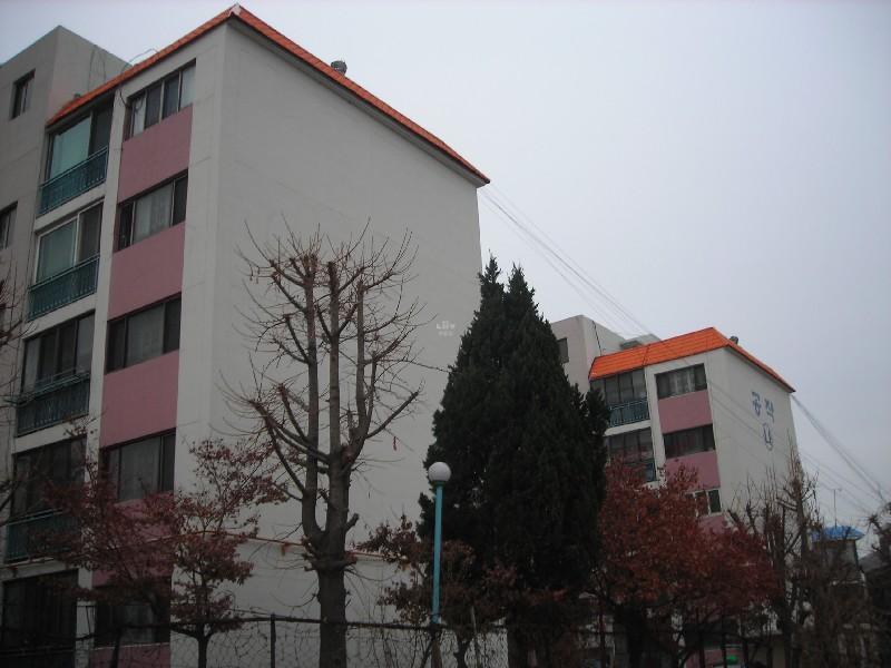 DSCN6051
