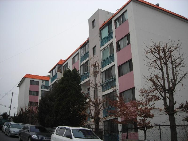 DSCN6052