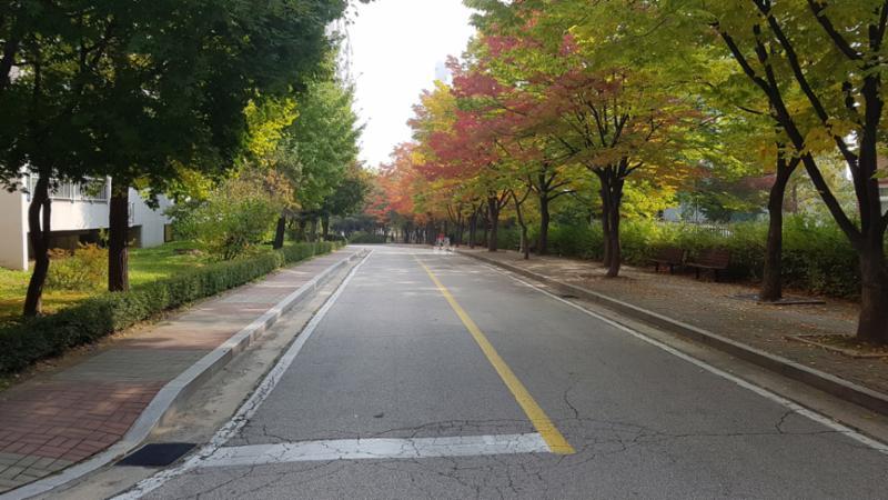 단지와 어울리는 동안마을주공3단지 도로의 모습이에요