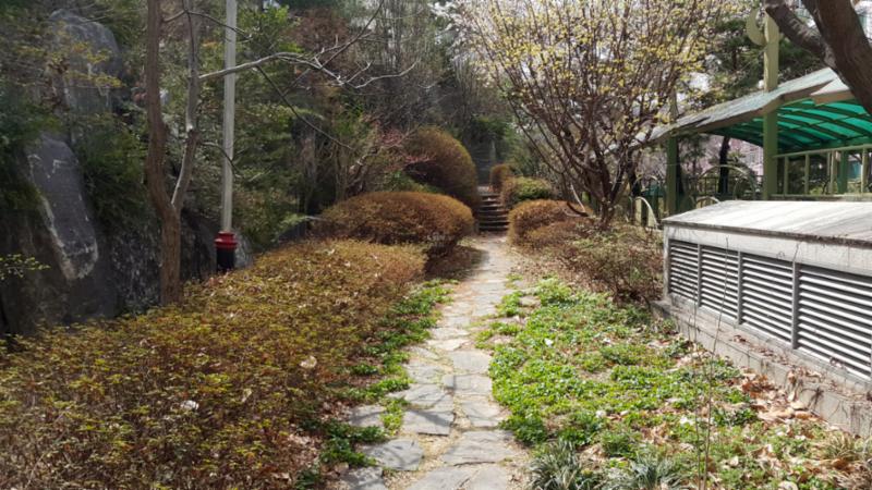 단지를 따라 걸으며 자연을 느낄 수 있는 쾌적한 단지 내 산책로에요