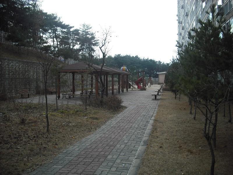 DSCF1258