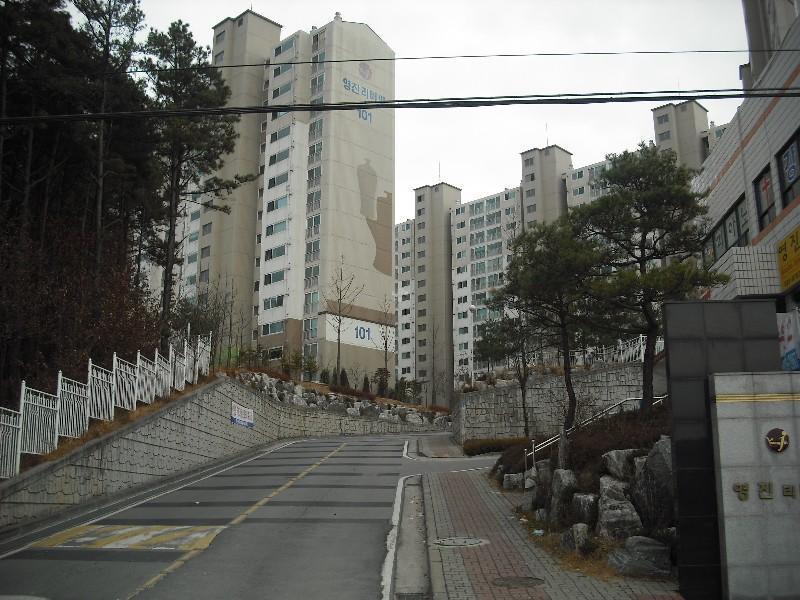 DSCF1246