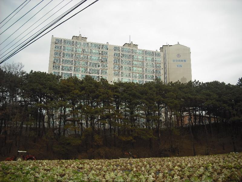DSCF1243