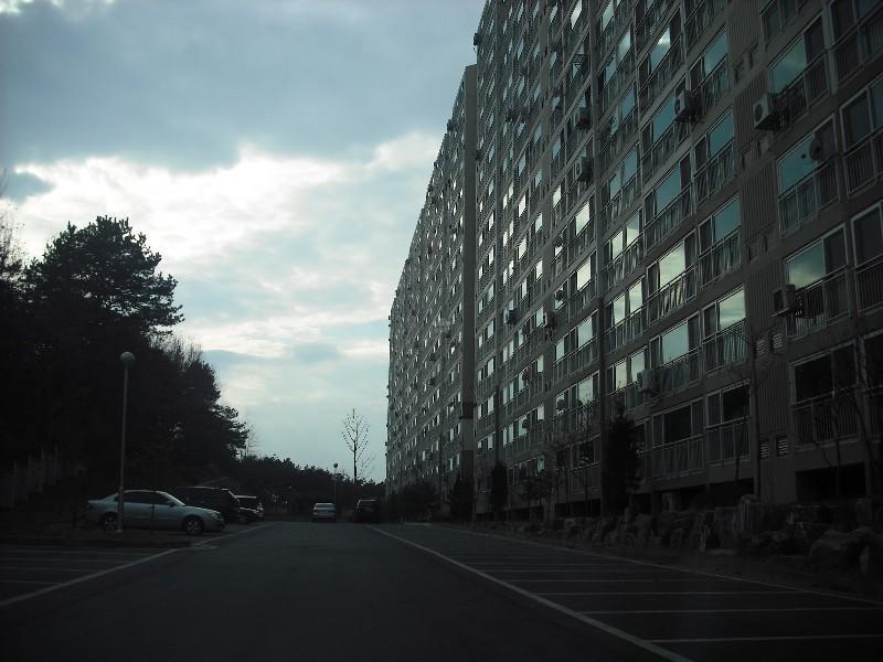 DSCF1255