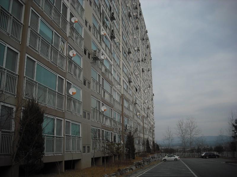 DSCF1257