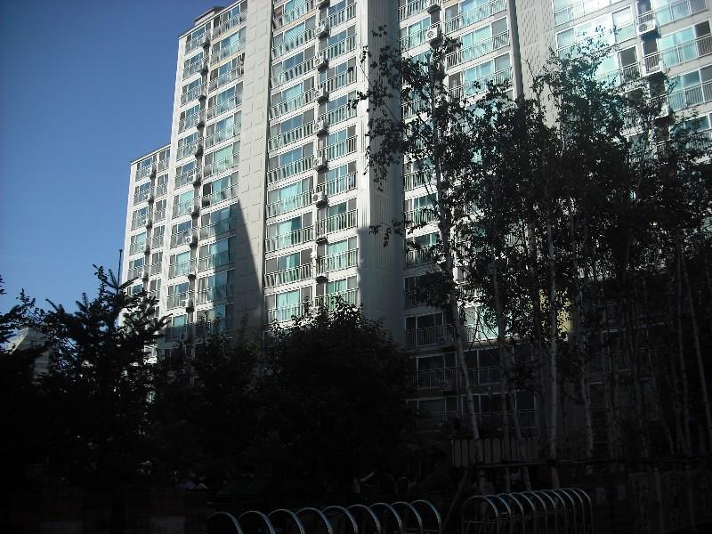 DSCF0505