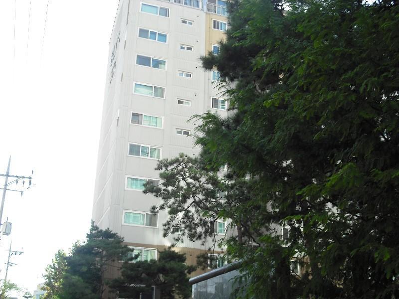 DSCF0508