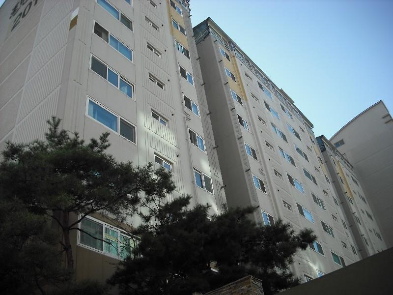 DSCF0515