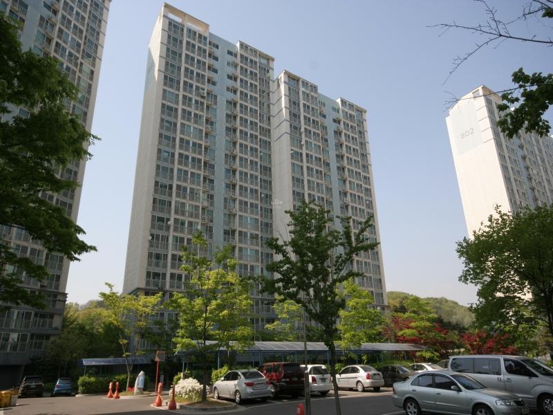 803동